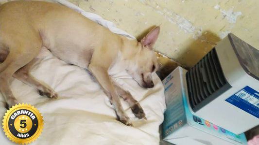ARTIC PRO™ - El primer aire acondicionado para perros. (Cuídalo de un golpe de calor)